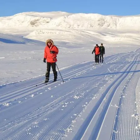 호텔 Al Skisenter - With Panoramic View For 8 Guests 3*